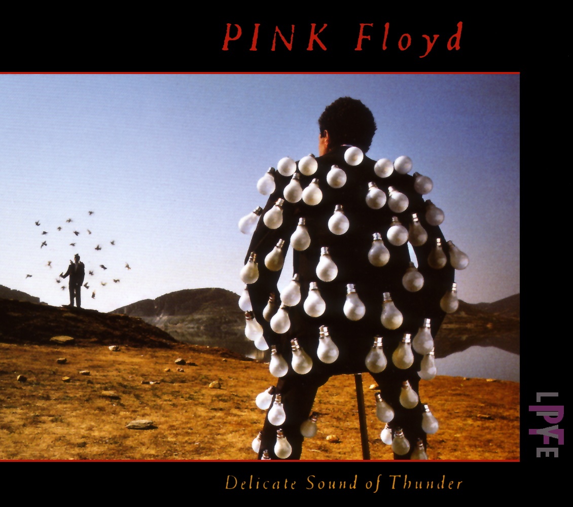 Pink-Floyd-Delicate-Sound-Of-Thunder.jpg