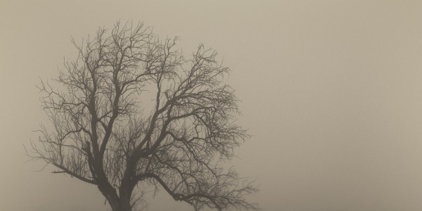 Stone Temple Pilots - Perdida