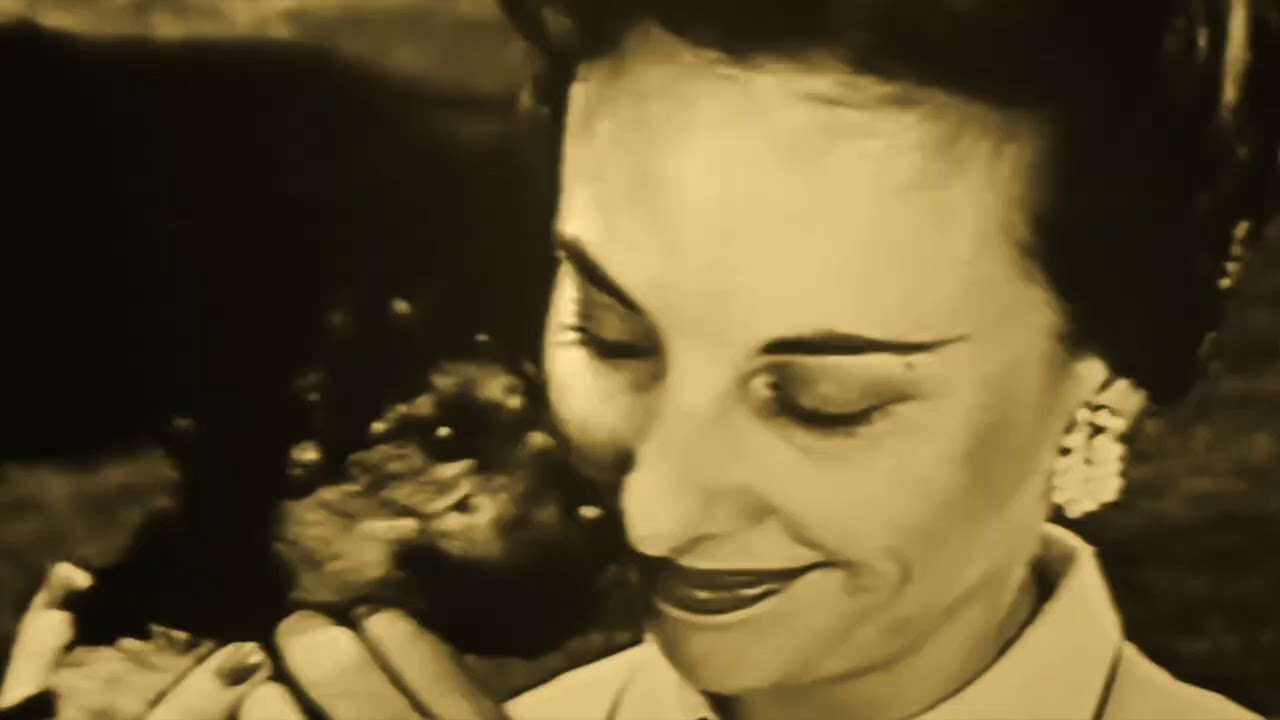 Tomahawk - Dog Eat Dog